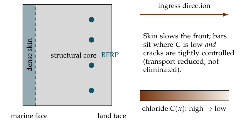 Cross-section of a graded precast marine panel with a dense skin on the marine face and basalt-fiber rod in the core